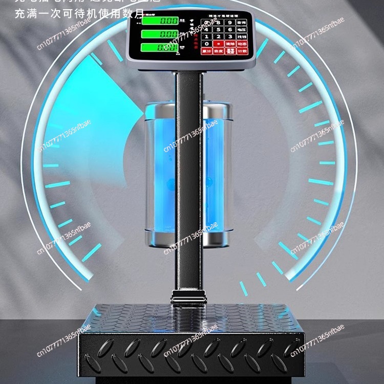 100kg 300kg Electronic Platfor - đánh giá và giá Diy Electronics Market